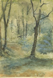 The Rooky Woods, watercolor, 1891, Philmont 34005, CH2