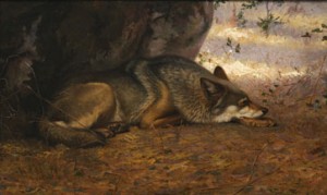 The Sleeping Wolf, oil on canvas on plywood, 1891. Academy for the Love of Learning: Photo credit: James Hart.